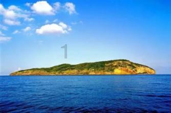 陕西眉县:野生羚牛频现红河谷森林公园